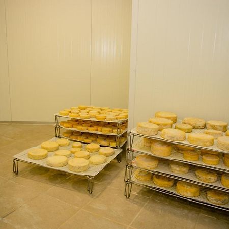 A Queijaria Hotel Barreira  Ngoại thất bức ảnh